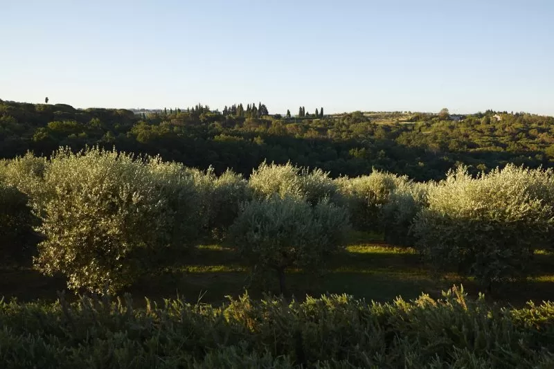 grounds at Casetta Firenze