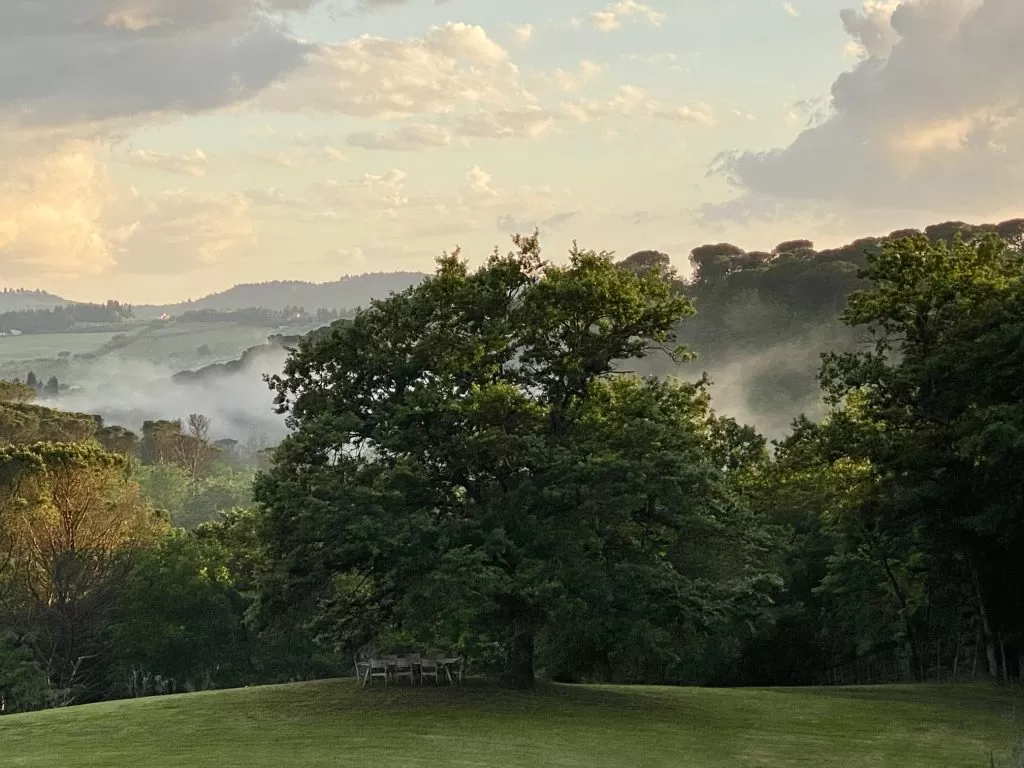 Casetta Firenze garden