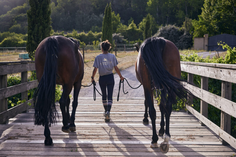 02_Angelika_Horses_101