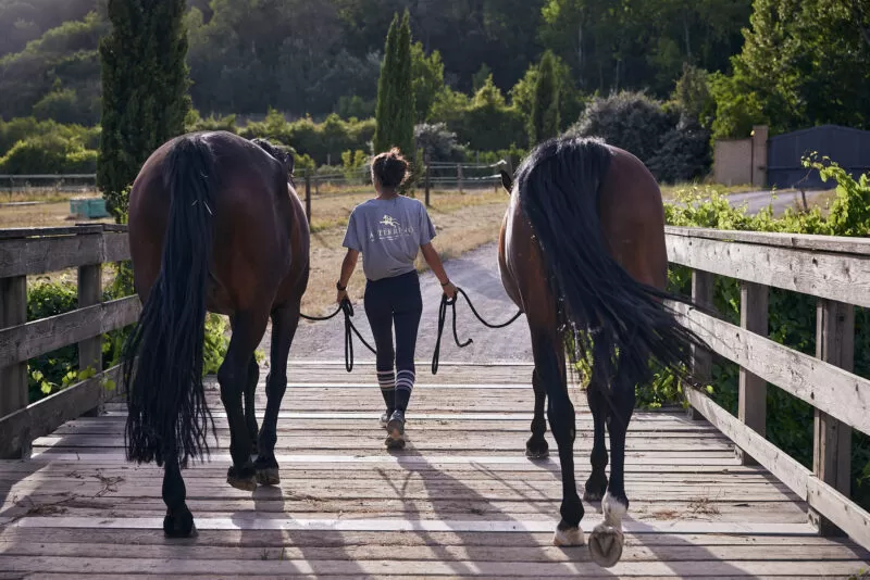 02_Angelika_Horses_101